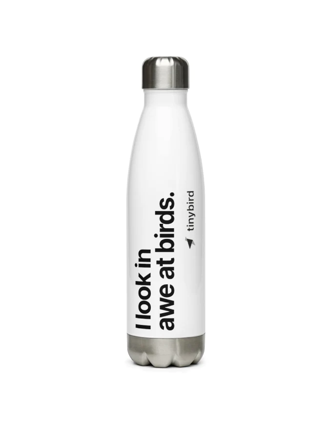 Stainless Steel Water Bottle